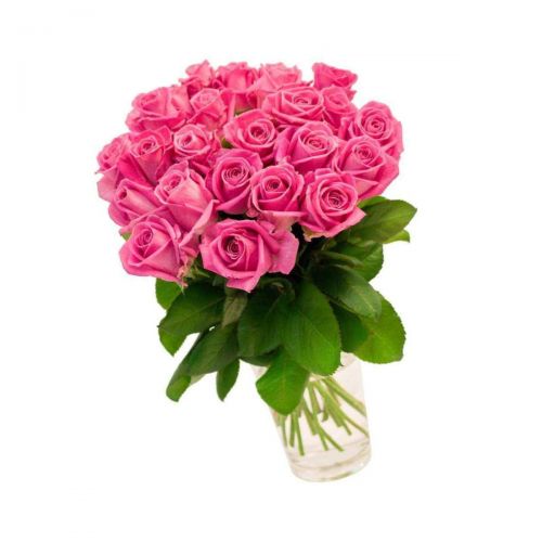 Заказать 21-ну розовую розу с доставкой по Холмску